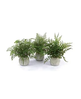 Slickblue Set of 3 Potted Ferns-14 Inches High, Realistic Artificial Plastic Plants for Home and Office Decor