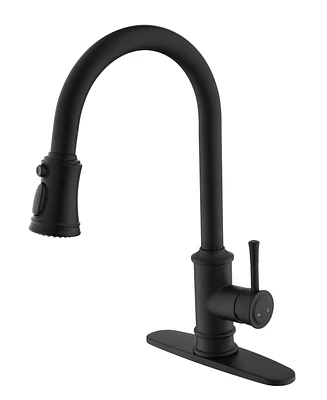 Brushed Nickel Pull Out Kitchen Faucet with Pull Down Sprayer