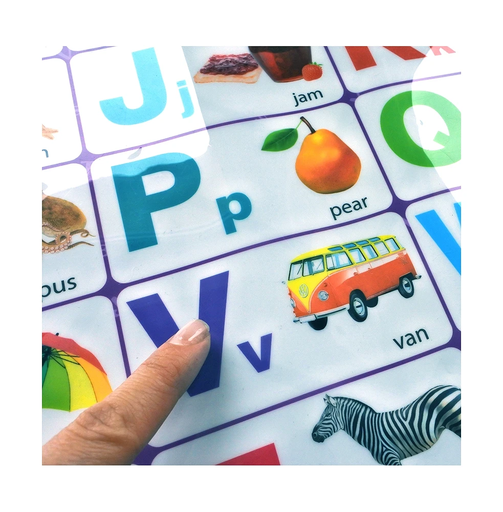 Quokka Educational Interactive Poster for Toddlers 3-5