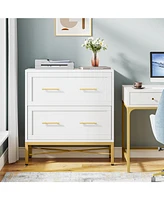 Tribesigns 2 Drawer File Cabinet, Modern Lateral Filing Cabinet for Letter/Legal/A4 Size, Large File Storage Cabinets Printer Stand with Storage for H