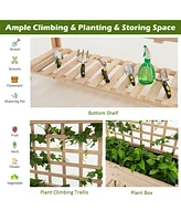 Raised Garden Bed Elevated Wooden Planter Box with Trellis