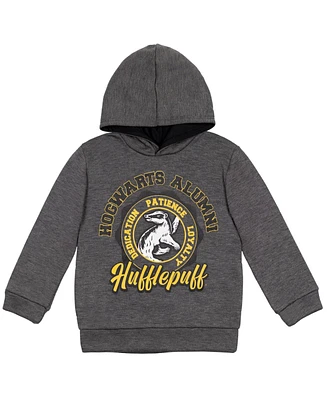 Harry Potter Little Boys Fleece Pullover Hoodie