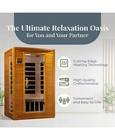 Dynamic Andora 2 Person Low Emf 6 Heating Panel Infrared Therapy Sauna with Bluetooth