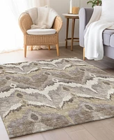 Addison Chantille Machine Washable ACN743 2'6"x3'10" Area Rug