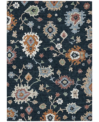 Addison Chantille Machine Washable ACN753 3'x5' Area Rug