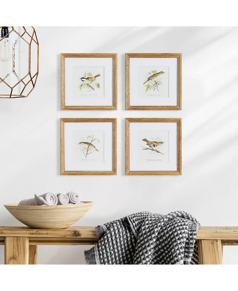 Perching Bird Study Petite Set of 4
