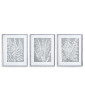 Fern Frond Prints, Set Of 3