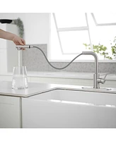 2 Sprayer Single Hole Single-Handle Pull Out Kitchen Faucet 360Swivel Spout