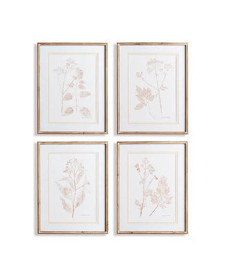 Blush Botanical Study Set of 4