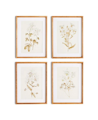 Fleur De Blanc Prints Set of 4