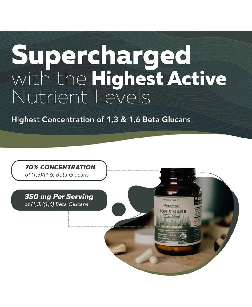 MycoMax Lion's Mane Extract Capsules