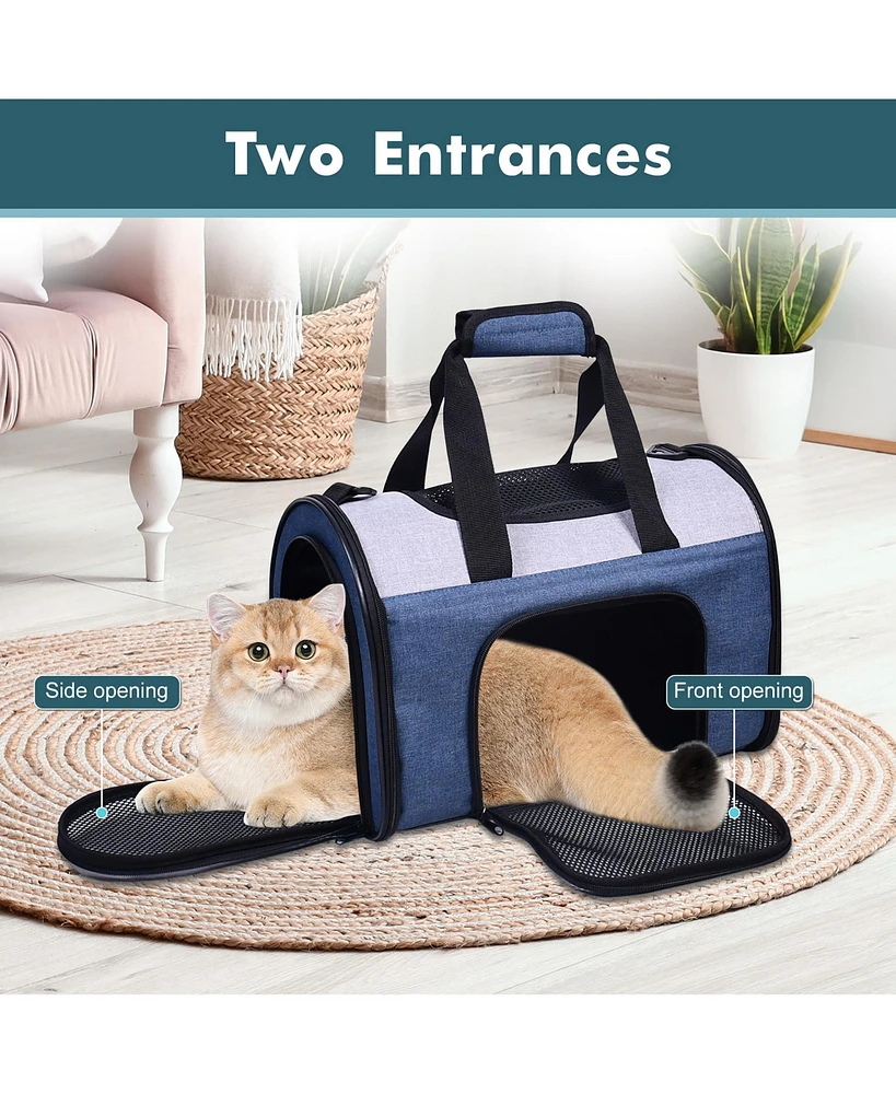 Sport Airline Pet Carrier: 16