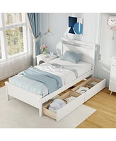 Twin Wooden Bed Frame with 2 Drawers for Teens and Adults