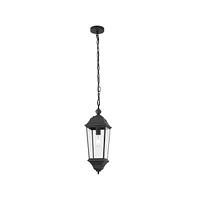 Teri Outdoor Pendant