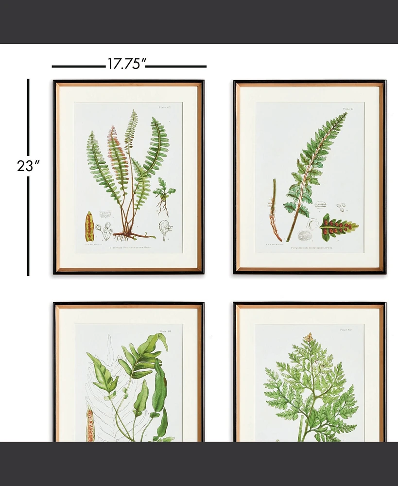 17.75" x 23" Decorative Structural Fern Botanical Study Framed Prints Set of 4