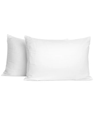 Sanctuary 2-Pack Pillow, Standard