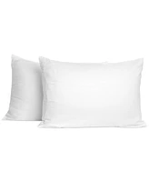 Sanctuary 2-Pack Pillow, Standard