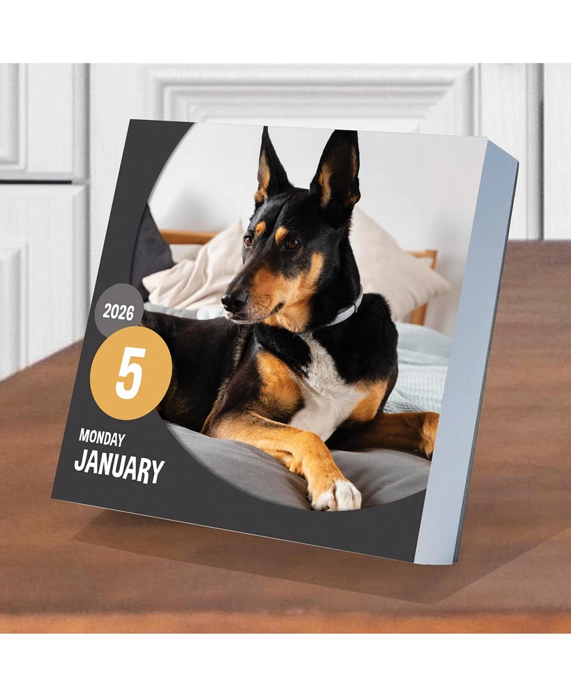 2026 Dog A Day Daily Desktop Calendar
