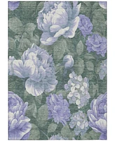Addison Chantille Machine Washable ACN1563 2'6"x3'10" Area Rug