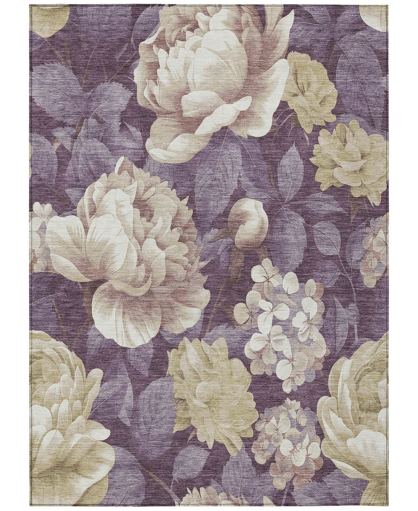 Addison Chantille Machine Washable ACN1561 3'x5' Area Rug