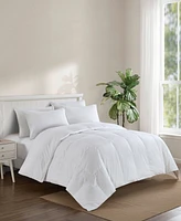 Avocado 500-Thread Count Down Comforter, Queen