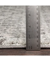 Livabliss Harput Hap-1080 Light Gray 5'3" x 7'3" Area Rug