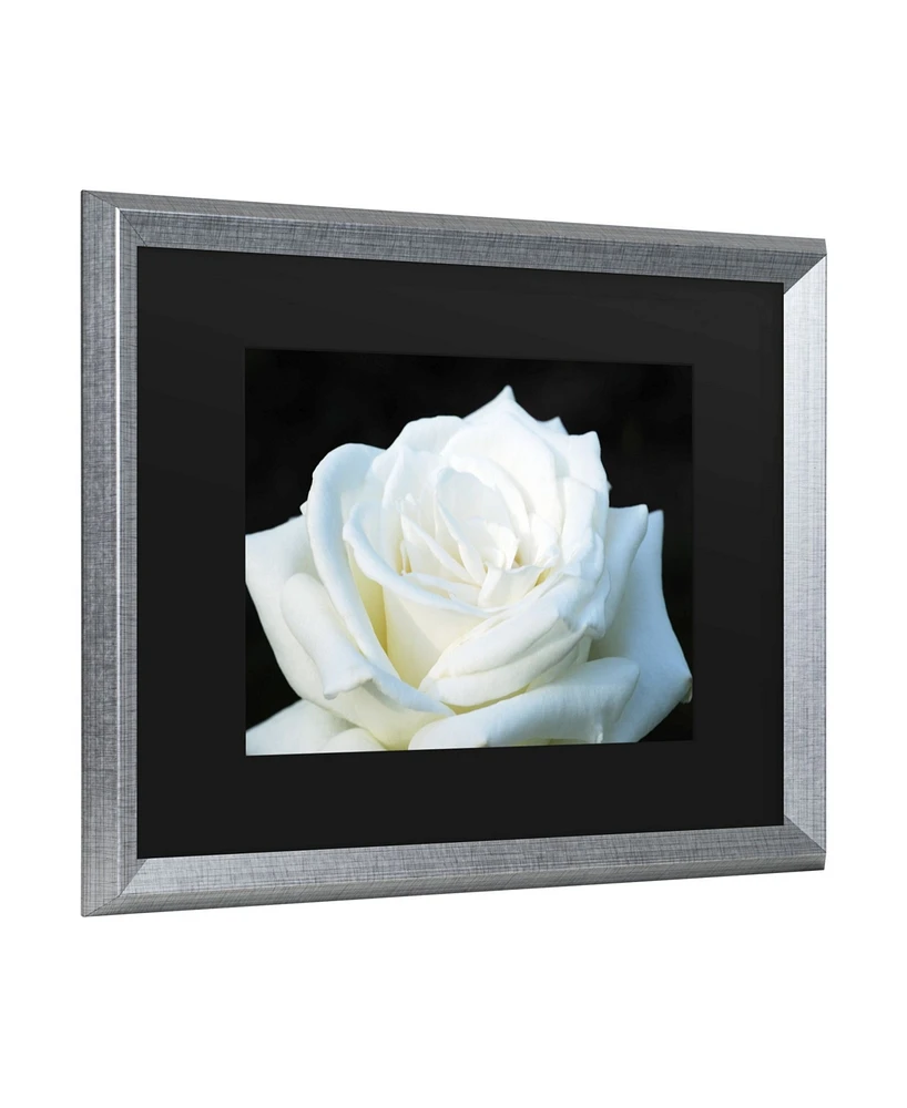 Kurt Shaffer White Rose Ii Matted Framed Art - 27" x 33"