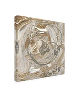 Alicia Ludwig Silver and Gold I Canvas Art - 15" x 20"