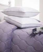 Allied Home Dream Infusion Lavender Scented Pillow Protector
