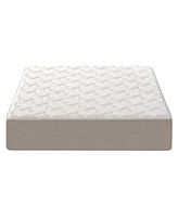 Dusk Dawn 12 Medium Plush Mattress In A Box Collection