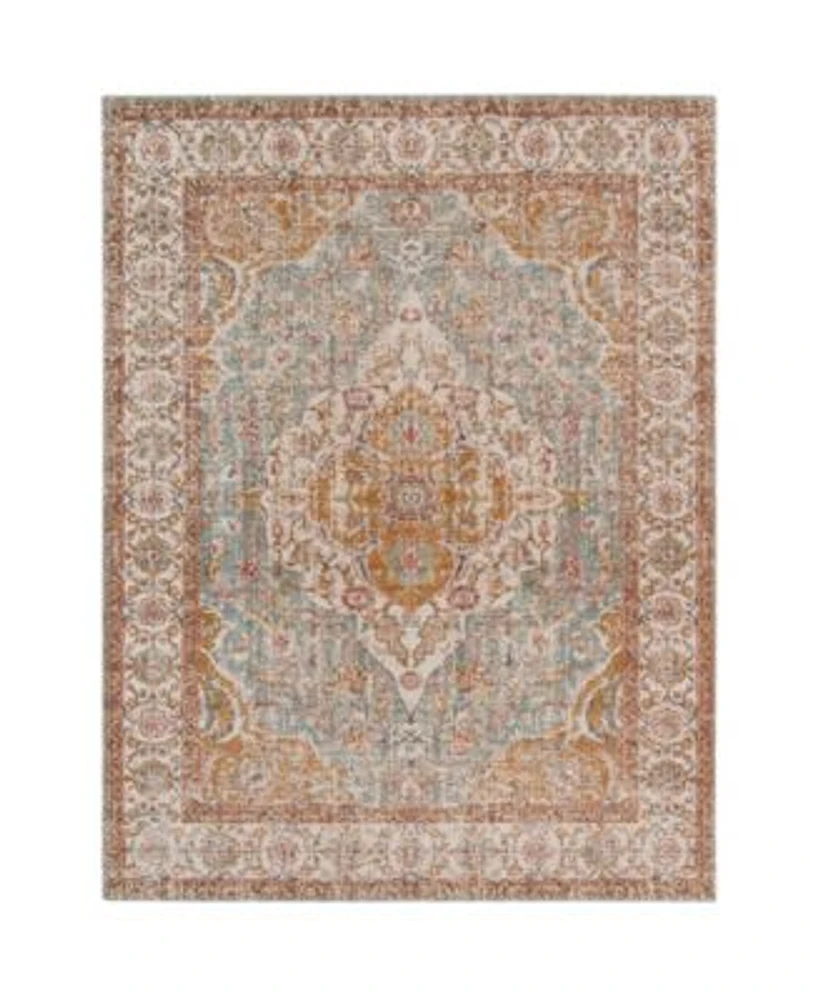 Closeout Amer Rugs Eternal Ete 3 Aqua Ivory Rug