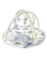 Skip Hop Safari Play Gym