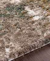 Livabliss Celestial Shag Csg2306 Area Rug