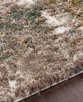Livabliss Celestial Shag CSG2306 5'3" x 7' Area Rug