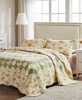 Greenland Home Fashions Bliss 3-Pc. Quilt Set