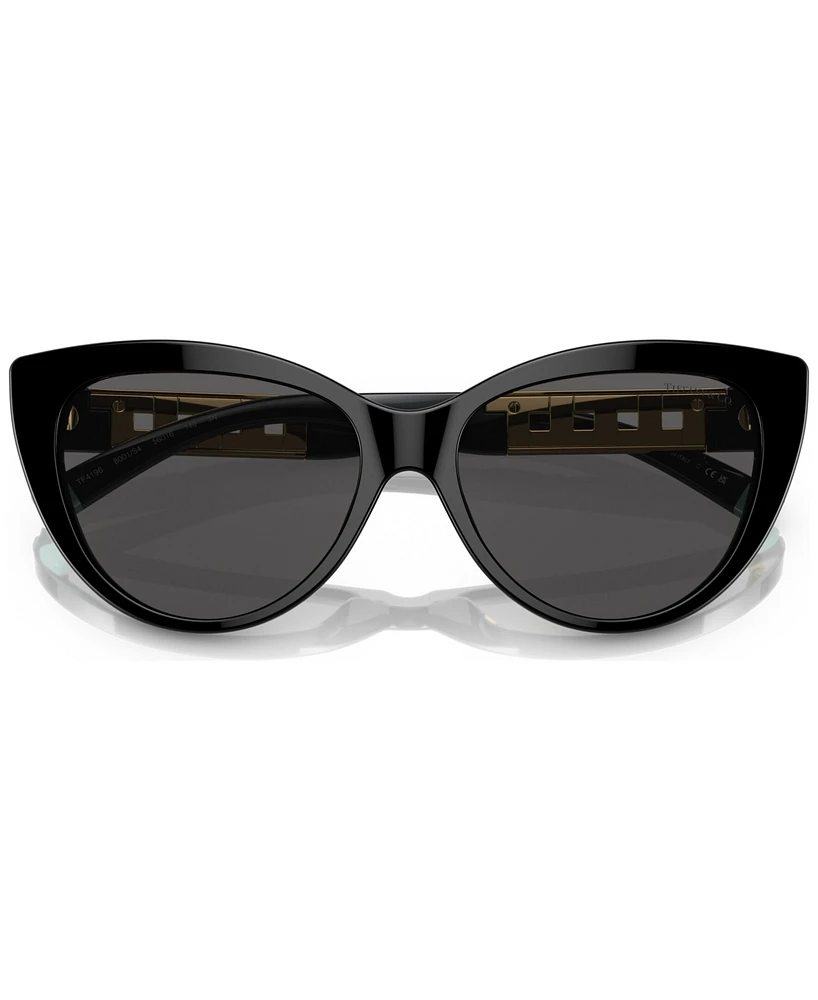 Tiffany & Co. Women's Sunglasses, TF4196