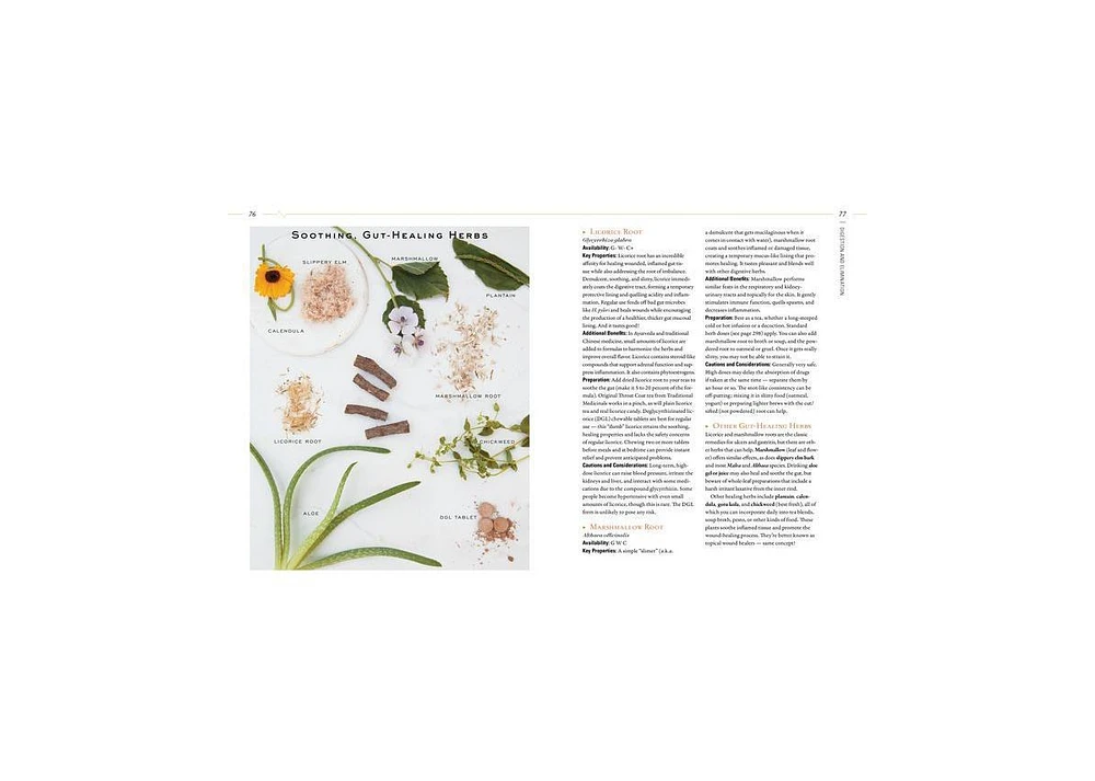 Body into Balance: An Herbal Guide to Holistic Self-Care by Maria Noel Groves
