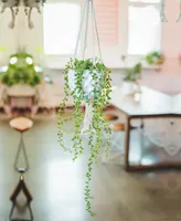 Flora Bunda String of Pearls Macrame Hanging Ceramic Pot Donkey Tails, 4"