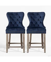 WestinTrends Tufted Velvet Counter Stool (Set of 2)