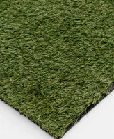Mink Home Tough Artificial Turf 2236-36oz 7'6" x 10' Outdoor Area Rug