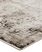 Dalyn Denizi DZ2 9' x 13'2" Area Rug