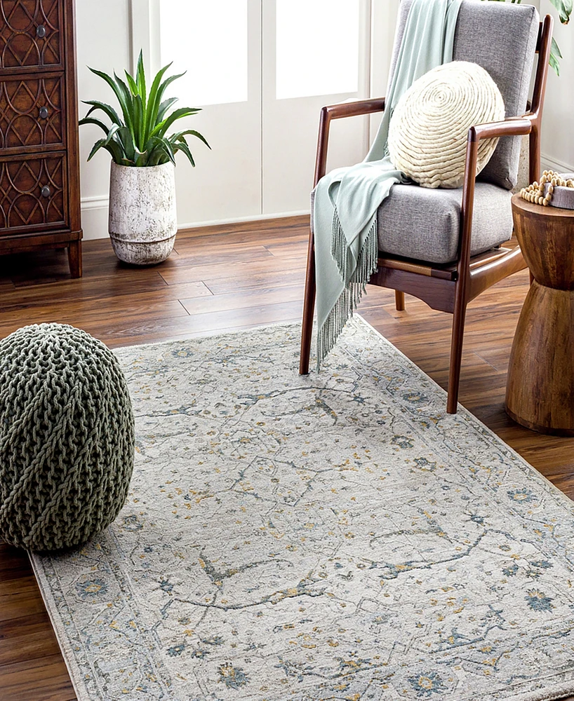 Livabliss Dresden Dre-2309 2'7" x 4' Area Rug