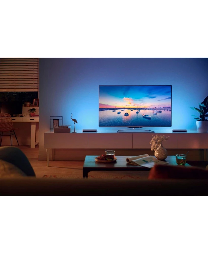 Philips Hue Play White & Color Ambiance Smart Led Bar Light (2-Pack) - White