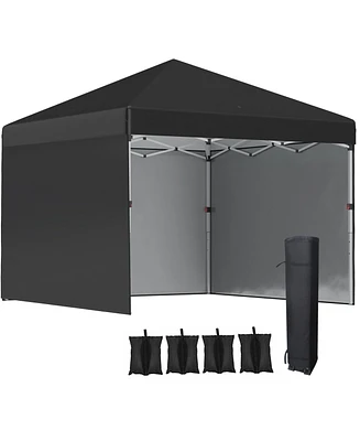 Outsunny 10' x 10' Pop Up Canopy with 3 Sidewalls and Carry Bag,