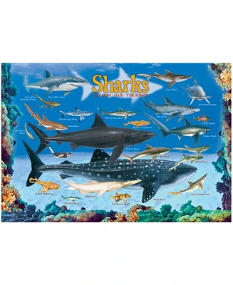 Eurographics Incorporated Smart Kids Collection Sharks Jigsaw Puzzle, 100 Pieces