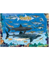 Eurographics Incorporated Smart Kids Collection Sharks Jigsaw Puzzle, 100 Pieces