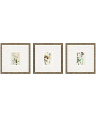 Antique-Like Botanical I Framed Art, Set of 3
