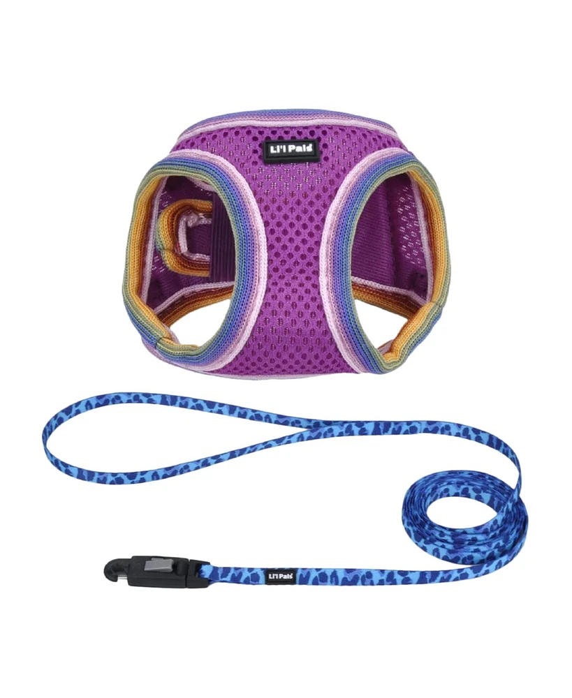 Coastal Pet Li'l Pals by Dog Walking Bundle