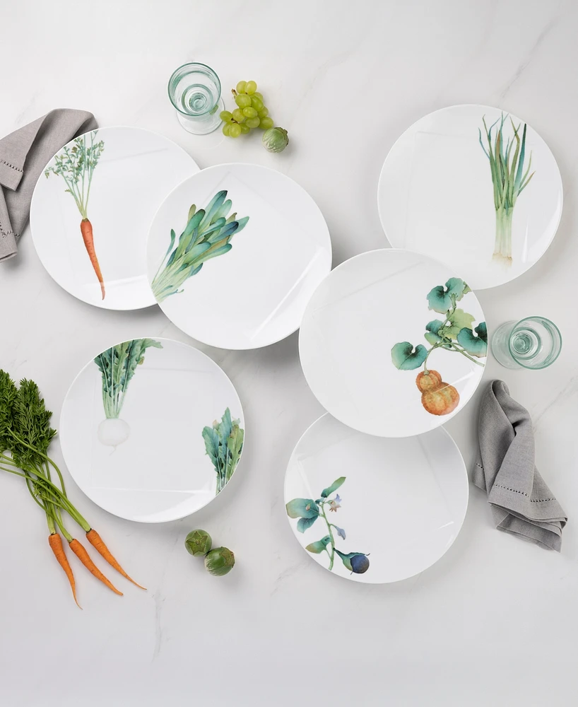 Noritake Kyoka Shunsai Assorted Dinner Plates 10.5" Set/6