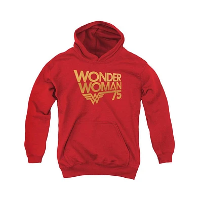Wonder Woman Youth 75th Anniversary Gold Logo Pull Over Hoodie / Hooded Sweatshirt